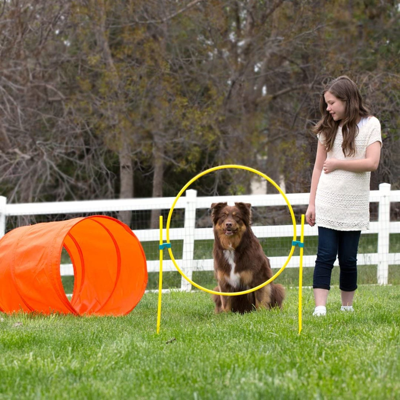 Zip & Zoom Outdoor Dog Agility Training Kit for Dogs, Multi - Image 8