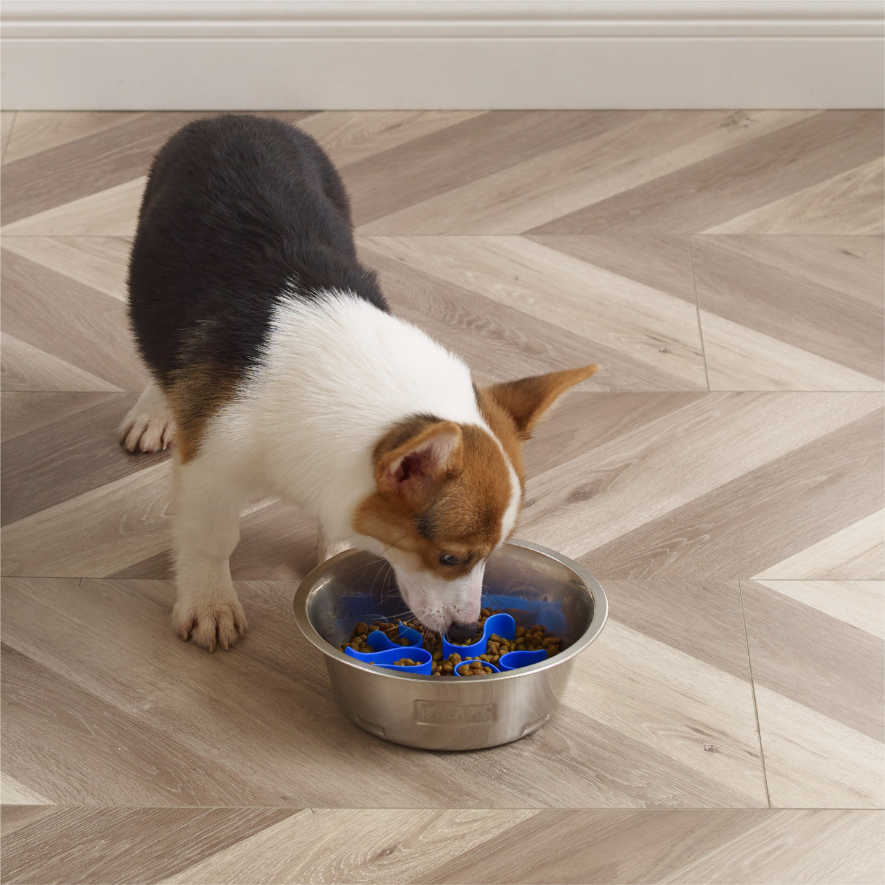 Fun Feeder Stainless Steel Slow Feeder Dog Bowl - Image 6