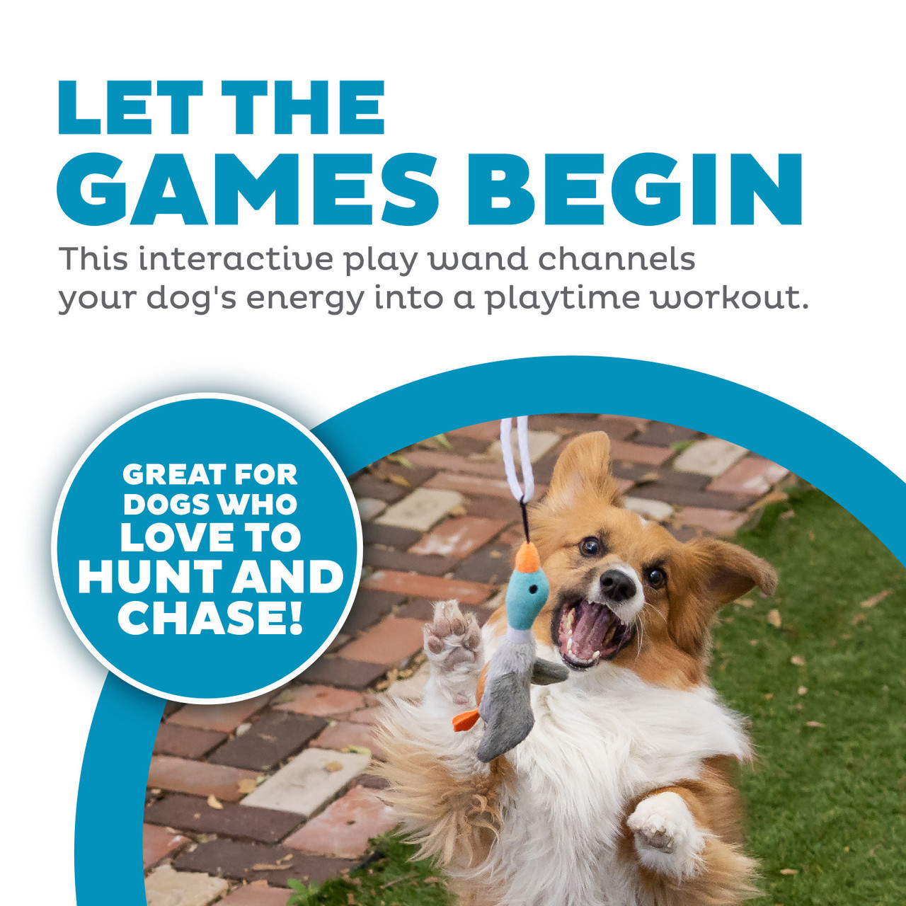 Tail Teaser Interactive Dog Wand Toy, Multi - Image 2