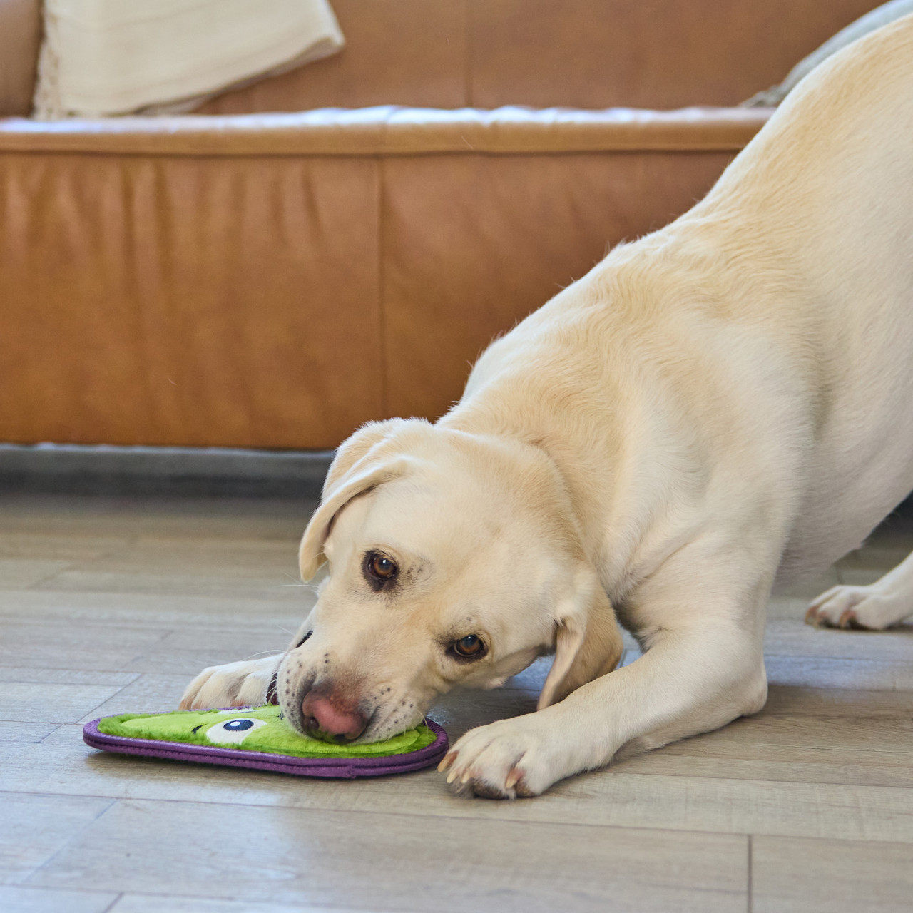Tough Skinz Avocado Durable Dog Toy, Green - Image 6