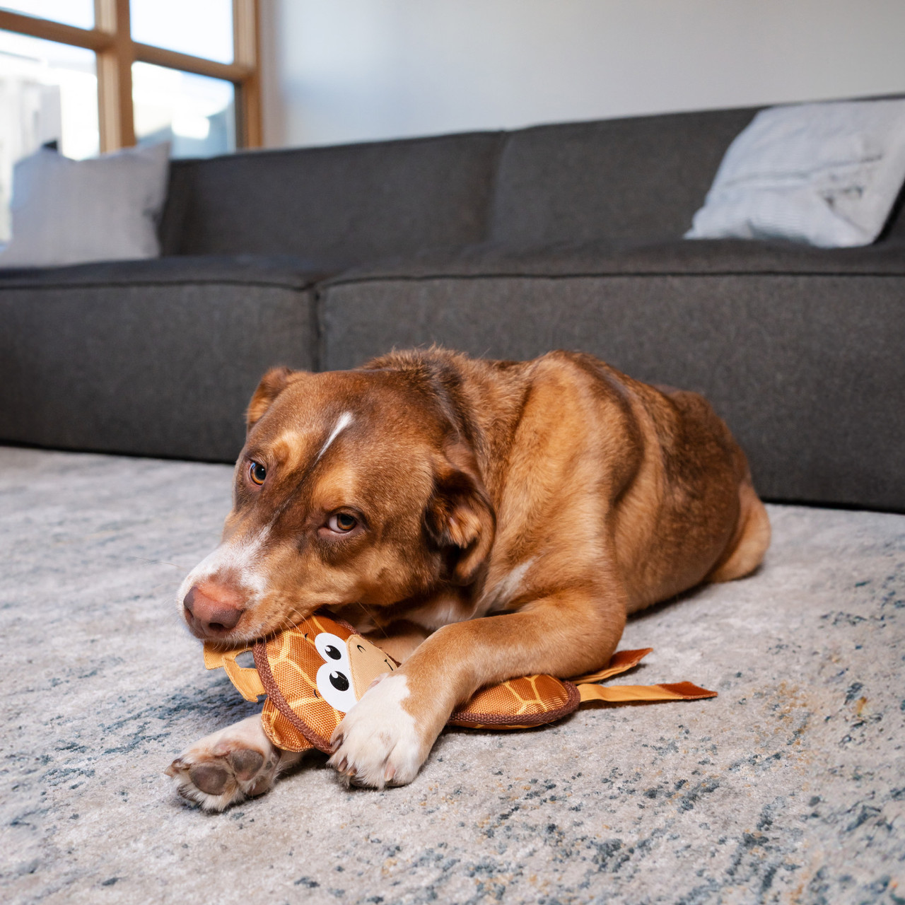 Fire Biterz Giraffe Firehose Plush Dog Toy - Image 5