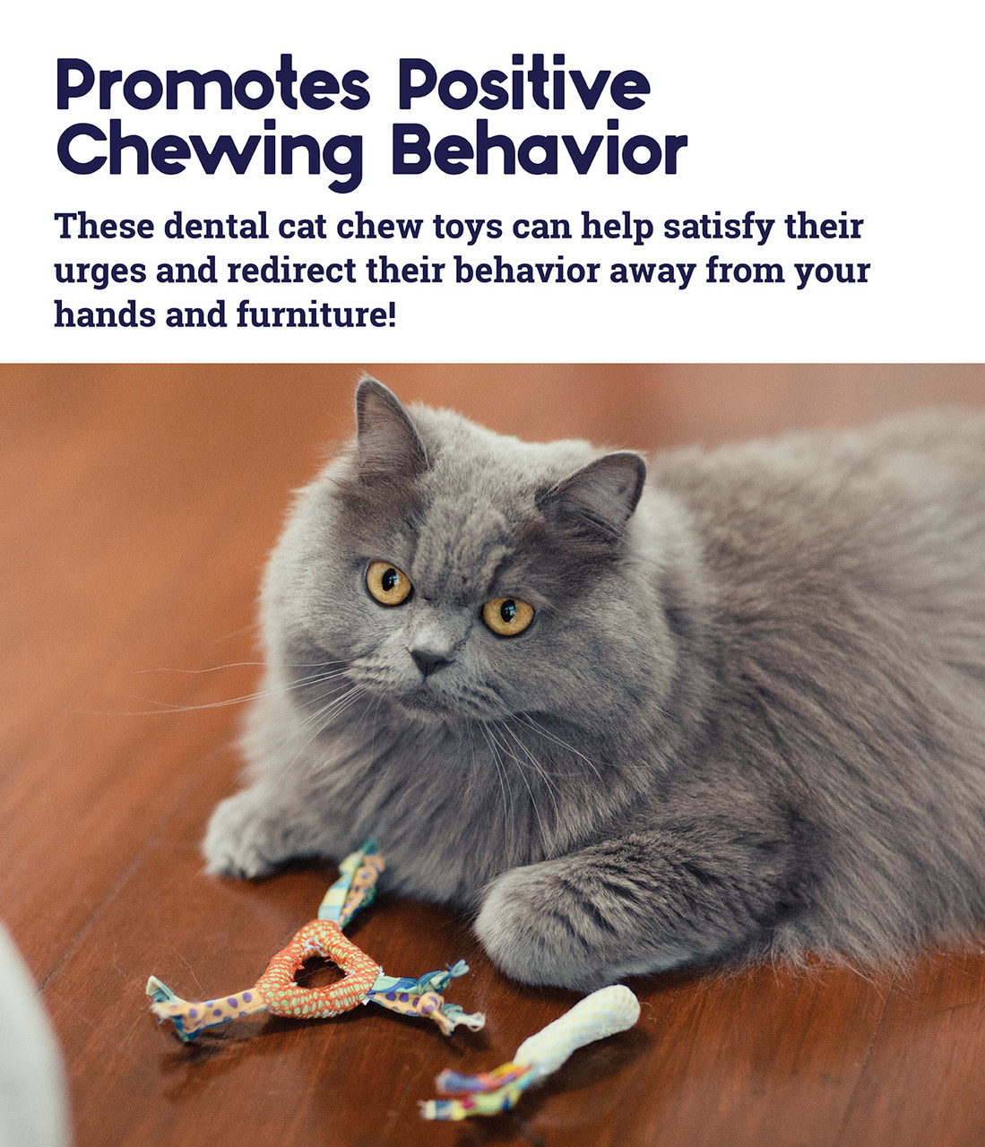 Catnip Dental Health Cat Chew Toy - 2 Pack, Multi - Image 4
