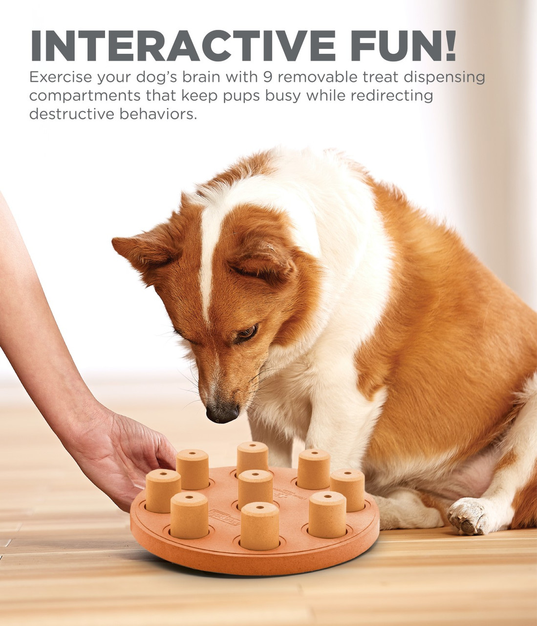 Dog Smart Composite Interactive Treat Puzzle Dog Toy, Orange - Image 2