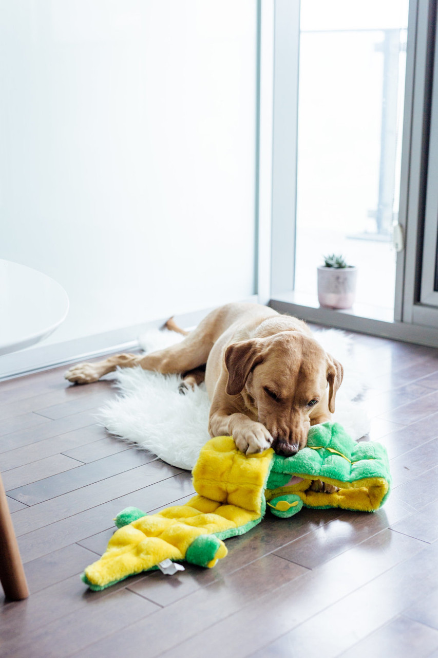 Squeaker Matz Plush Toy, Gator - Image 29