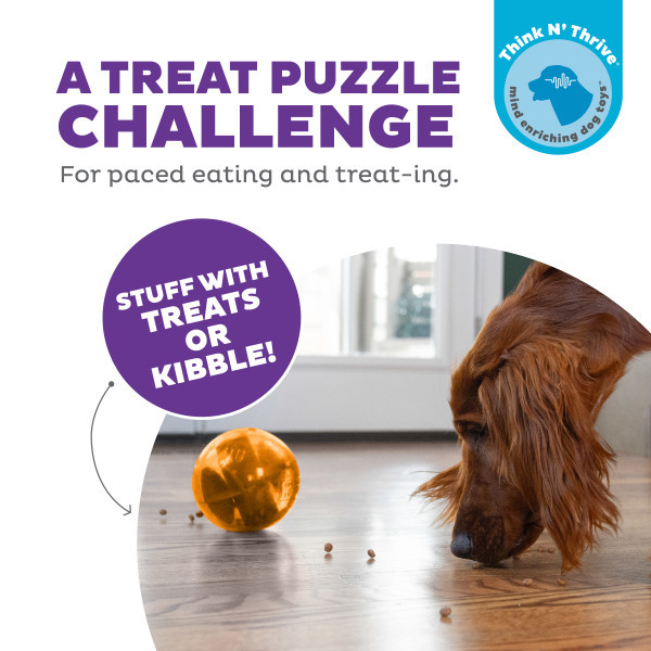Orbee-Tuff Mazee Interactive Puzzle Dog Toy, Orange - Image 2