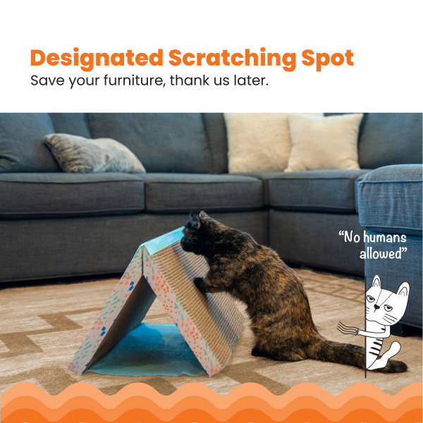 Fold Away Tunnel and Cat Scratcher, Multi - Image 7