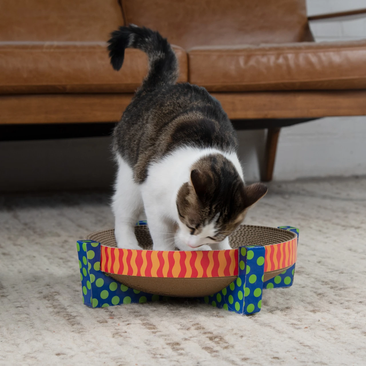 Scratch, Snuggle & Rest Cat Scratcher - Image 6