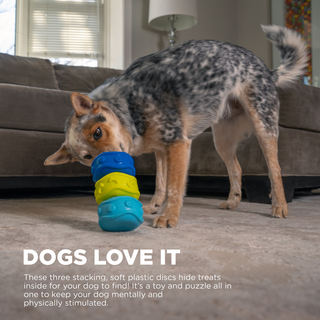 Treat Locking Discs Dog Treat Dispenser, Multi - Image 2