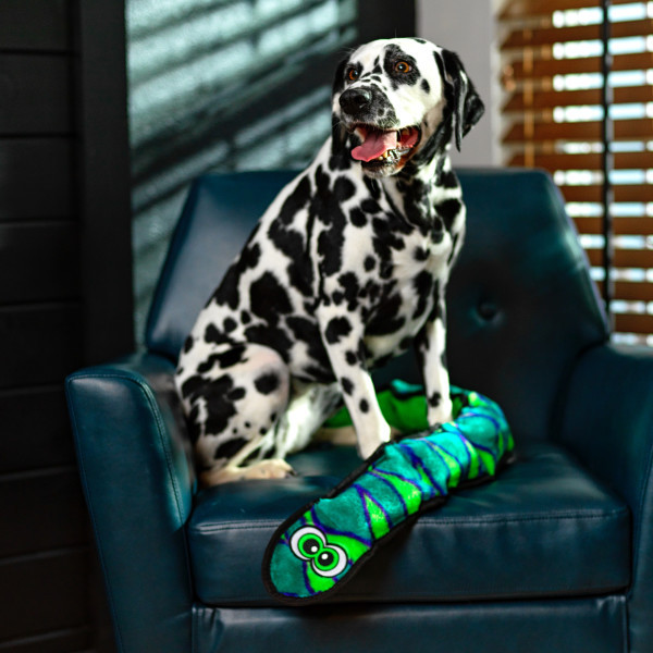 Durablez Snake Plush Dog Toy, X-Large - Image 5
