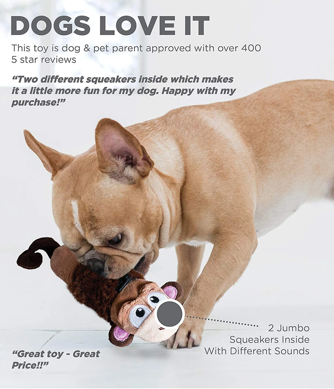 Stuffing-Free Big Squeak Plush Dog Toy - Image 10