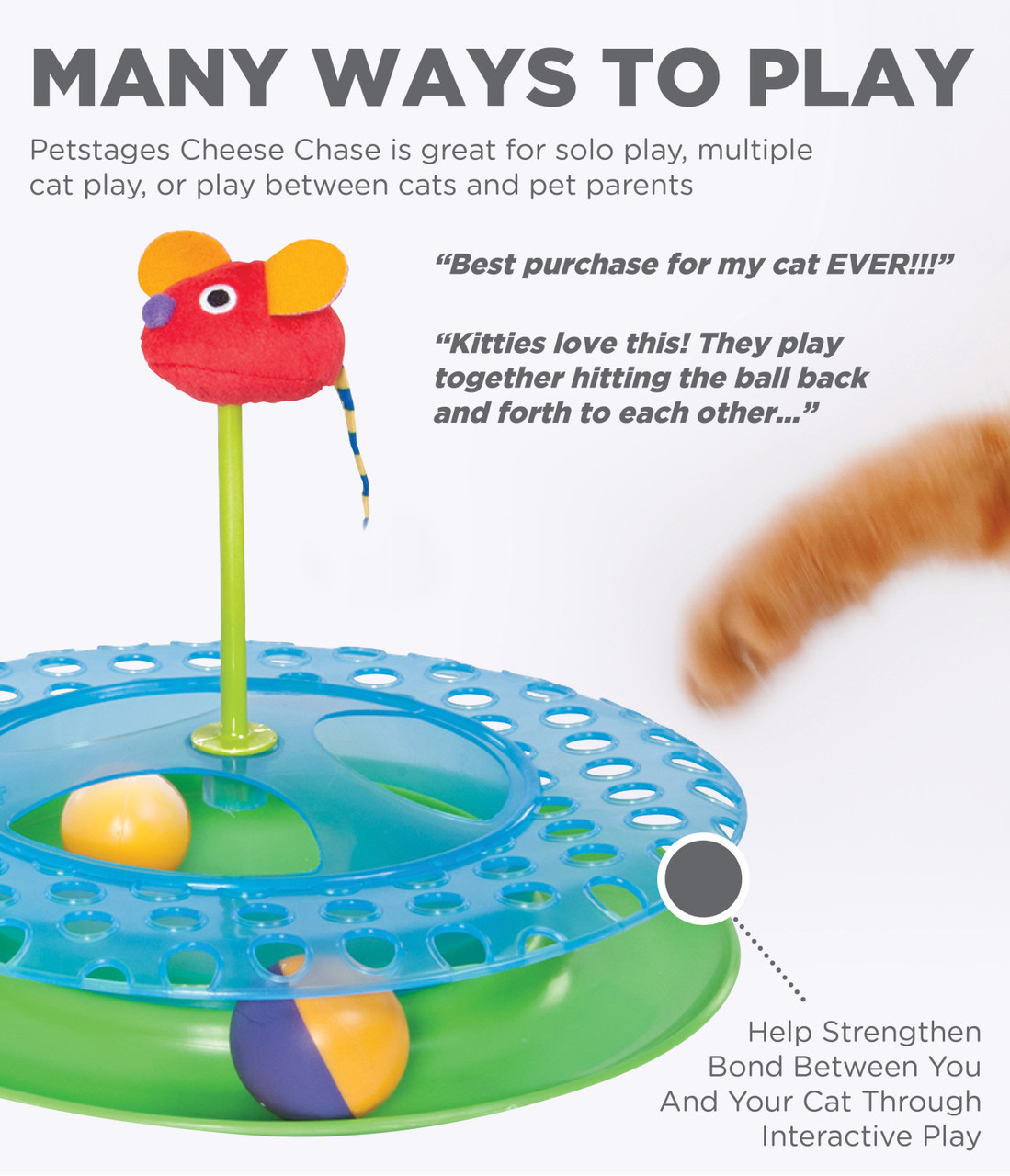 Cheese Chase Catnip Cat Track Toy, Multi - Image 3