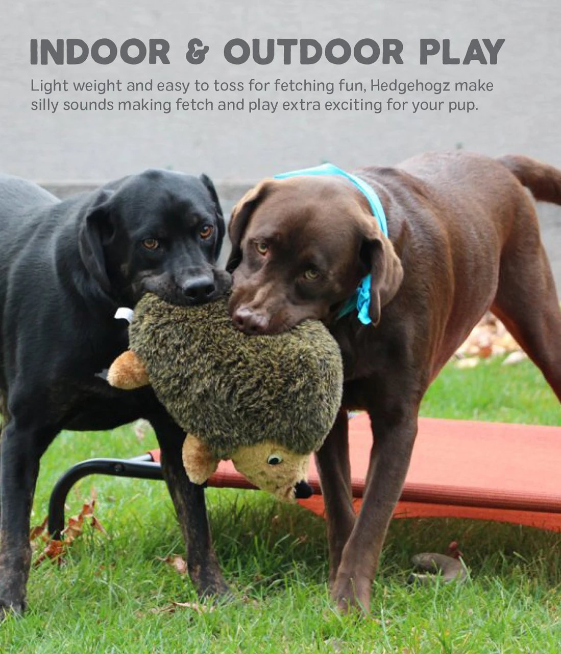 Hedgehogz Dog Toy - Image 4