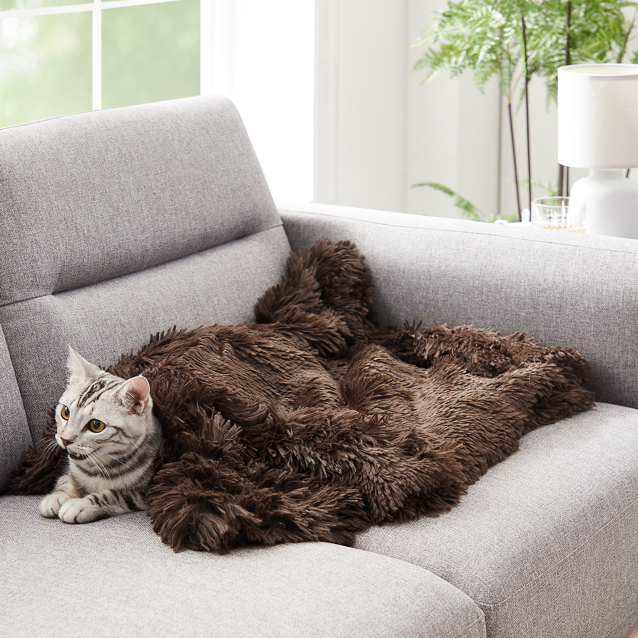 Shag Pet Throw Blanket, 30x40 - Image 17