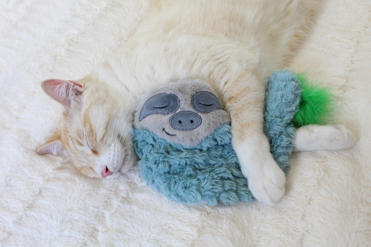 Purr Pillow Snoozin' Sloth Plush Cat Toy, Green - Image 3