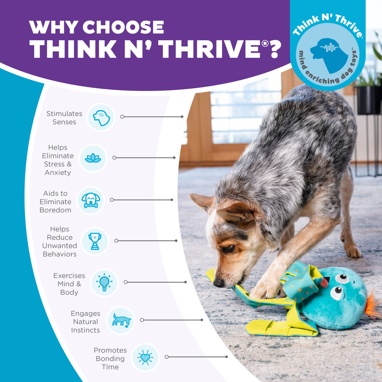 Silly Legz Interactive Plush Dog Puzzle, Blue - Image 6