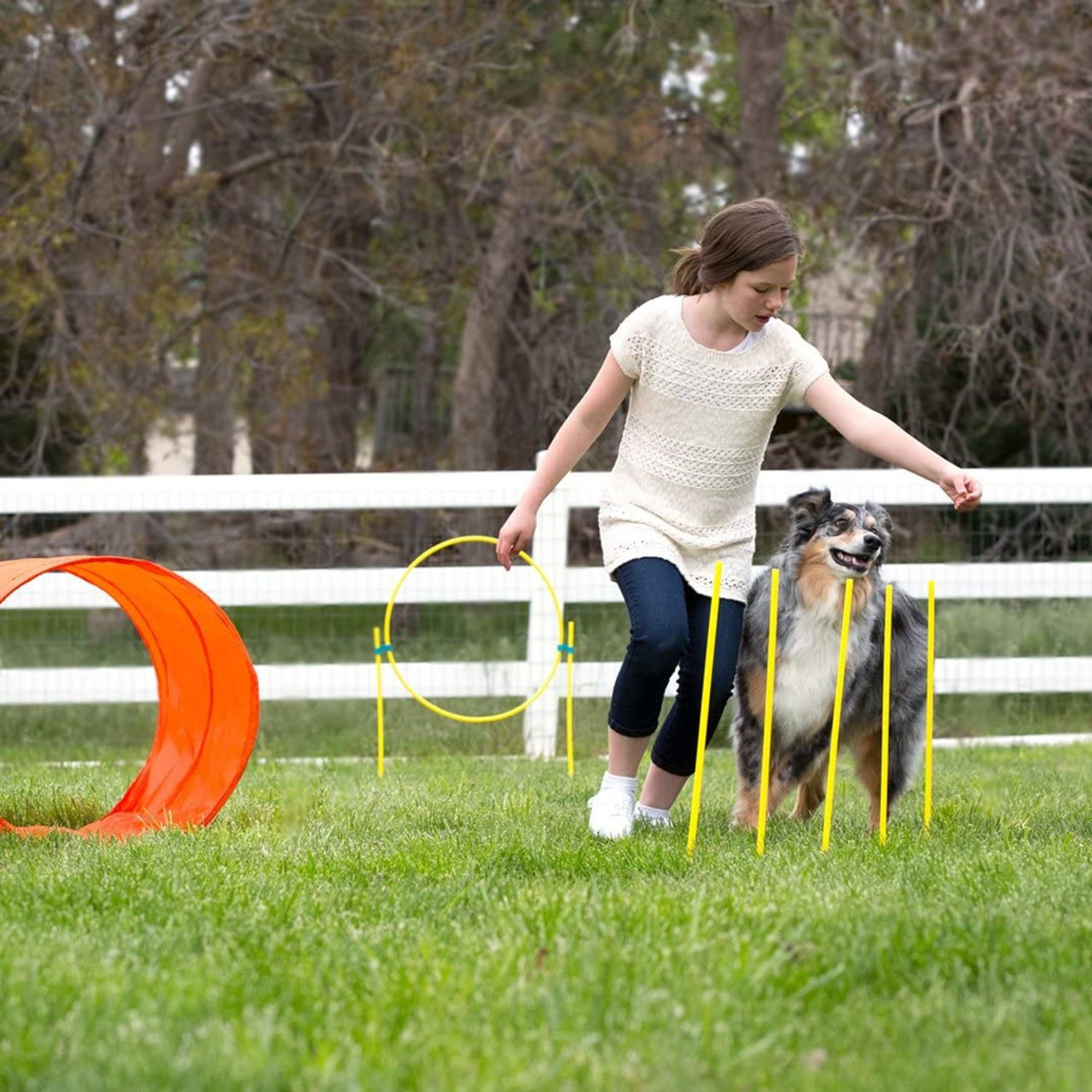 Zip & Zoom Outdoor Dog Agility Training Kit for Dogs, Multi - Image 7