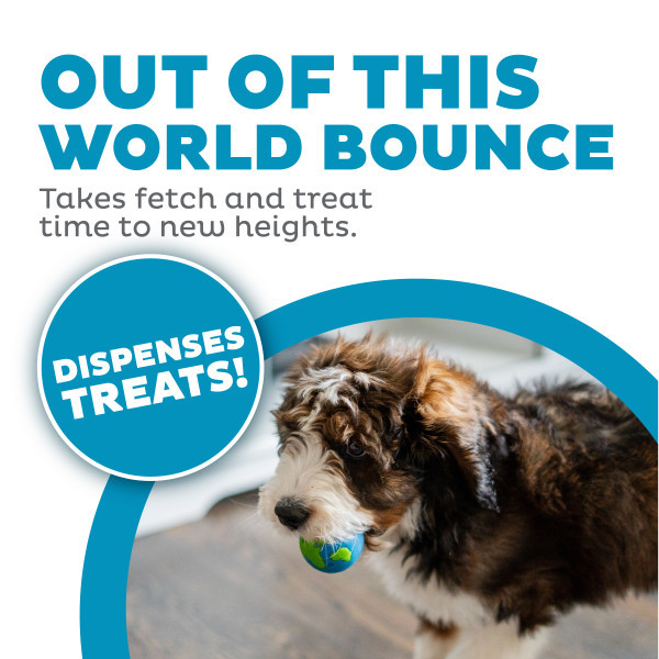 Orbee-Tuff Planet Ball Treat-Dispensing Dog Toy, Medium - Image 2
