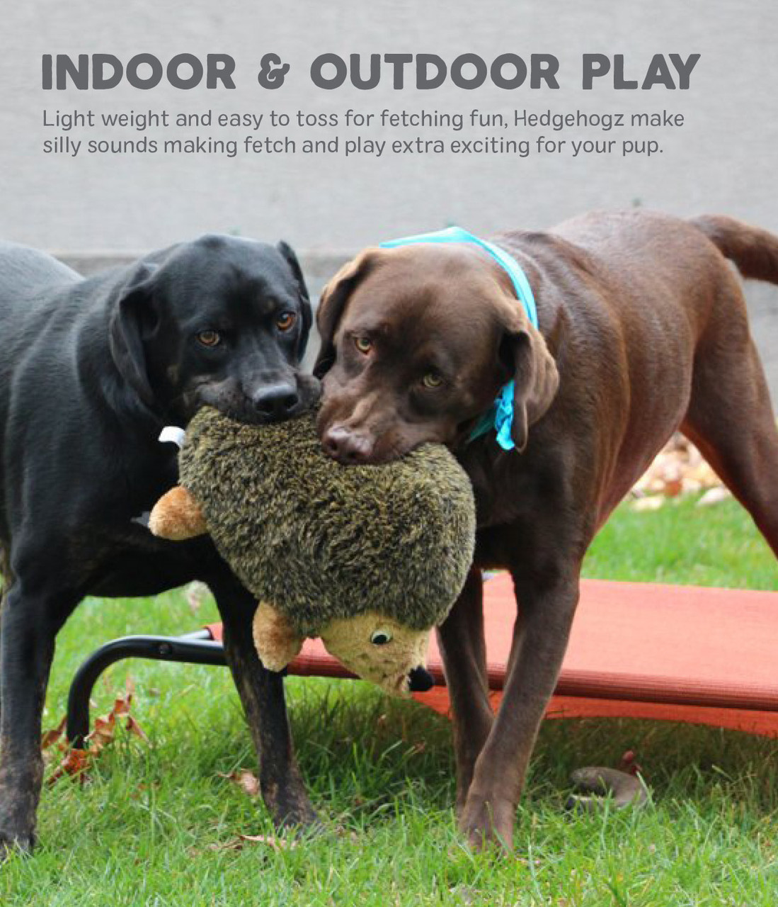 Hedgehogz Dog Toy - Image 22