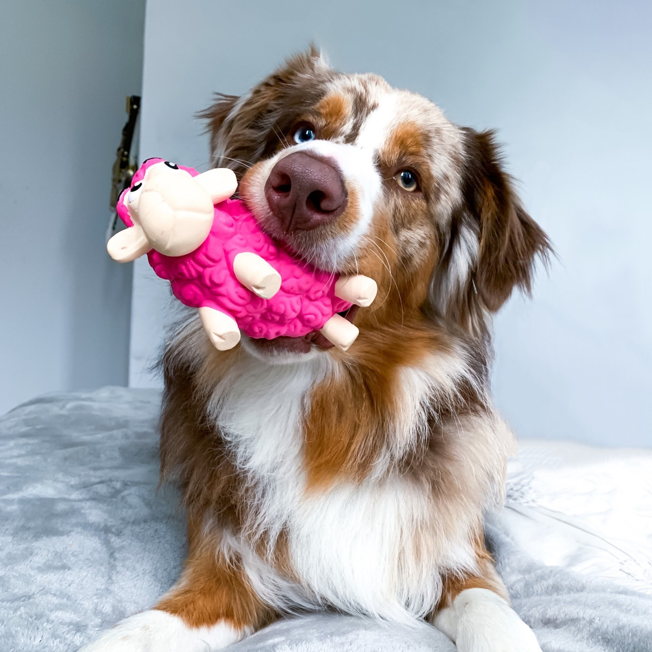Tootiez Latex Rubber Dog Toy - Image 25