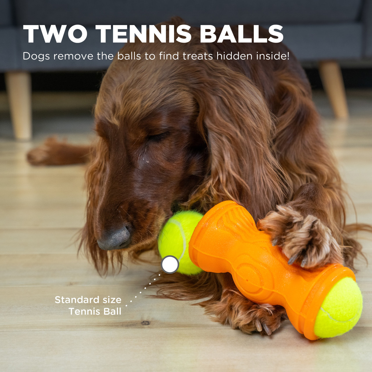 Tennis & Treat, Orange - Image 2