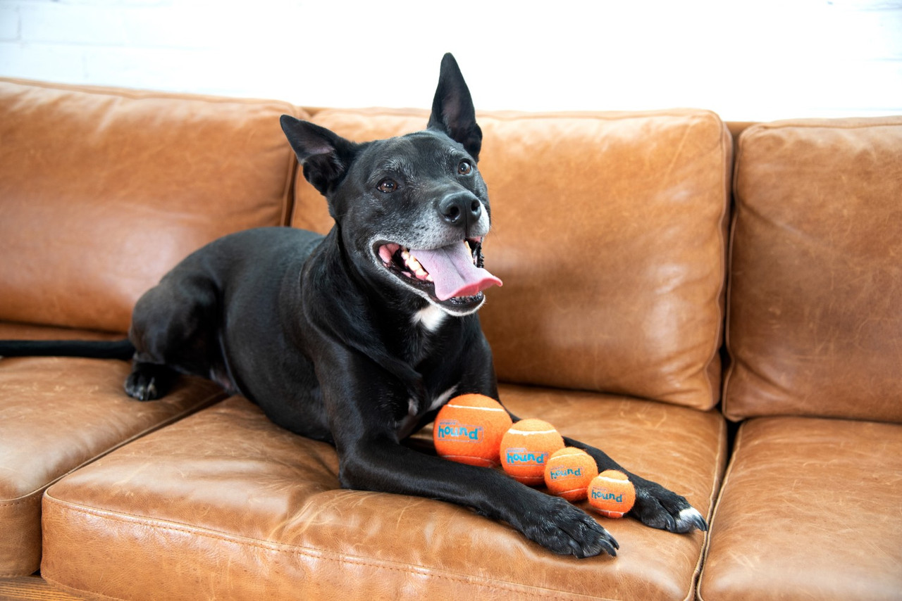 Squeaker Ballz Squeaky Tennis Balls, Large - Image 7
