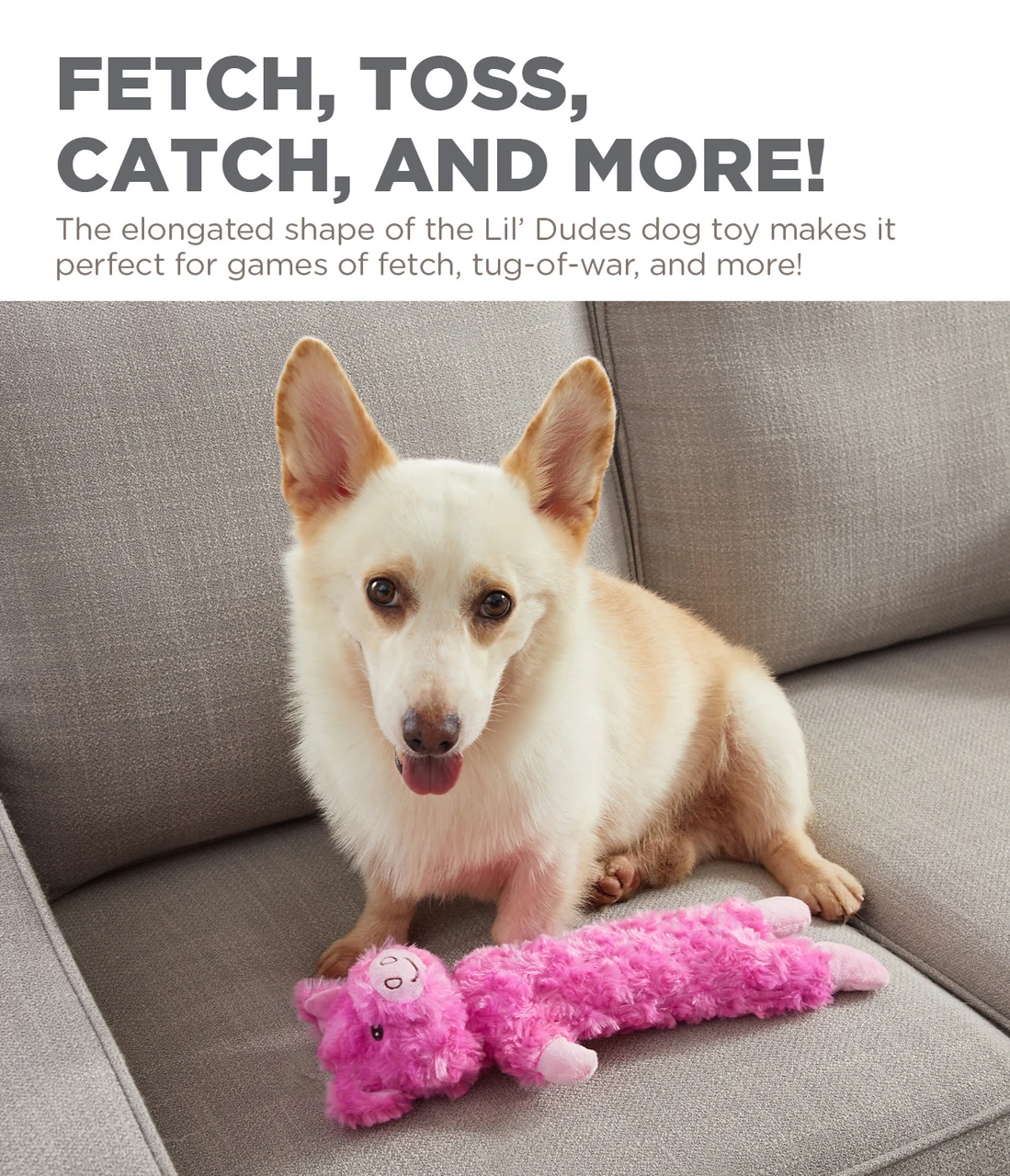 Lil' Dudes Plush Dog Toy - Image 3