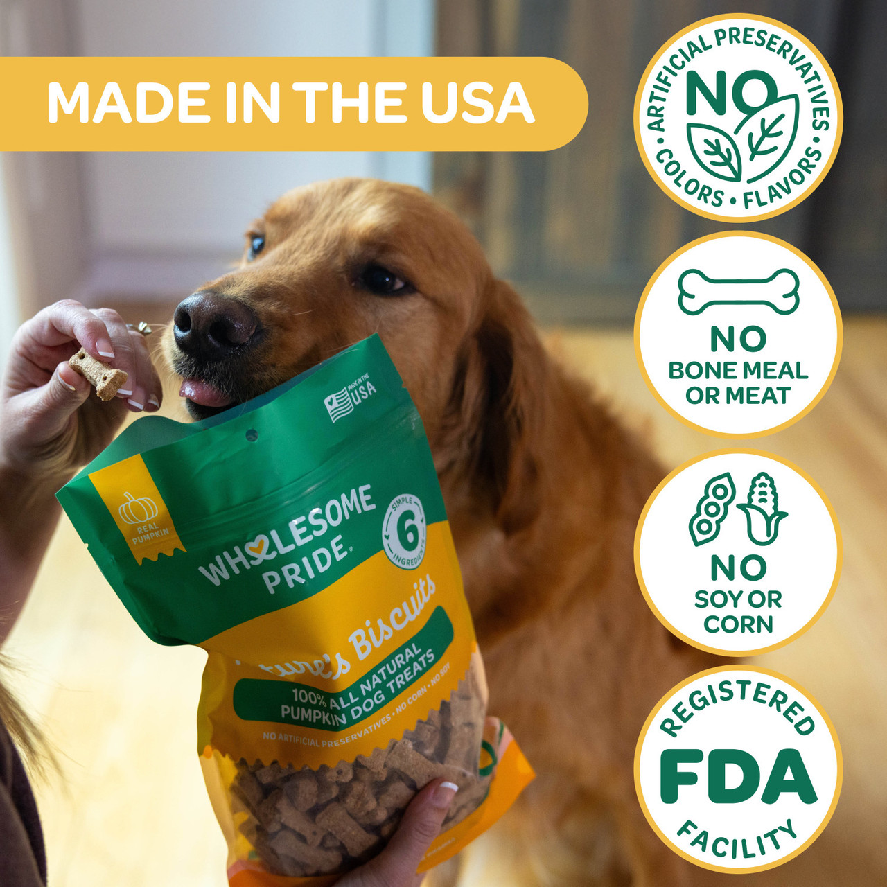 Wholesome Pride Nature's Biscuits Mini Dog Treats, Pumpkin, 16oz - Image 2