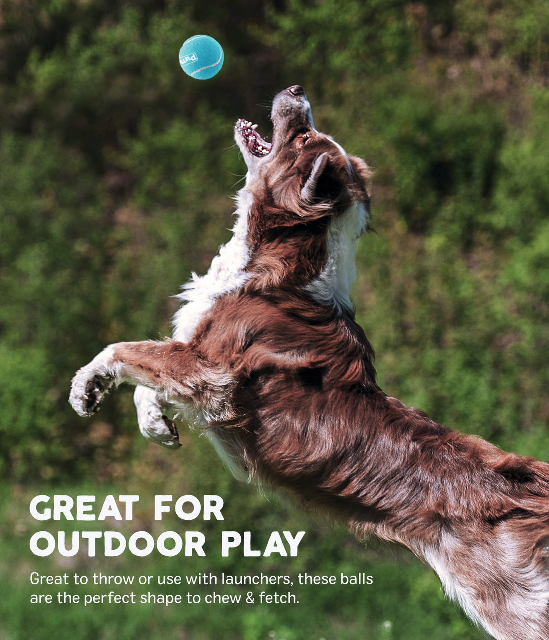 Squeaker Ballz Squeaky Tennis Balls, Medium - Image 12