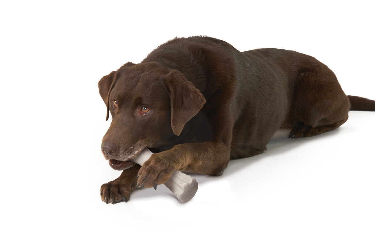 Deerhorn Antler Alternative Dog Chew Toy - Image 10