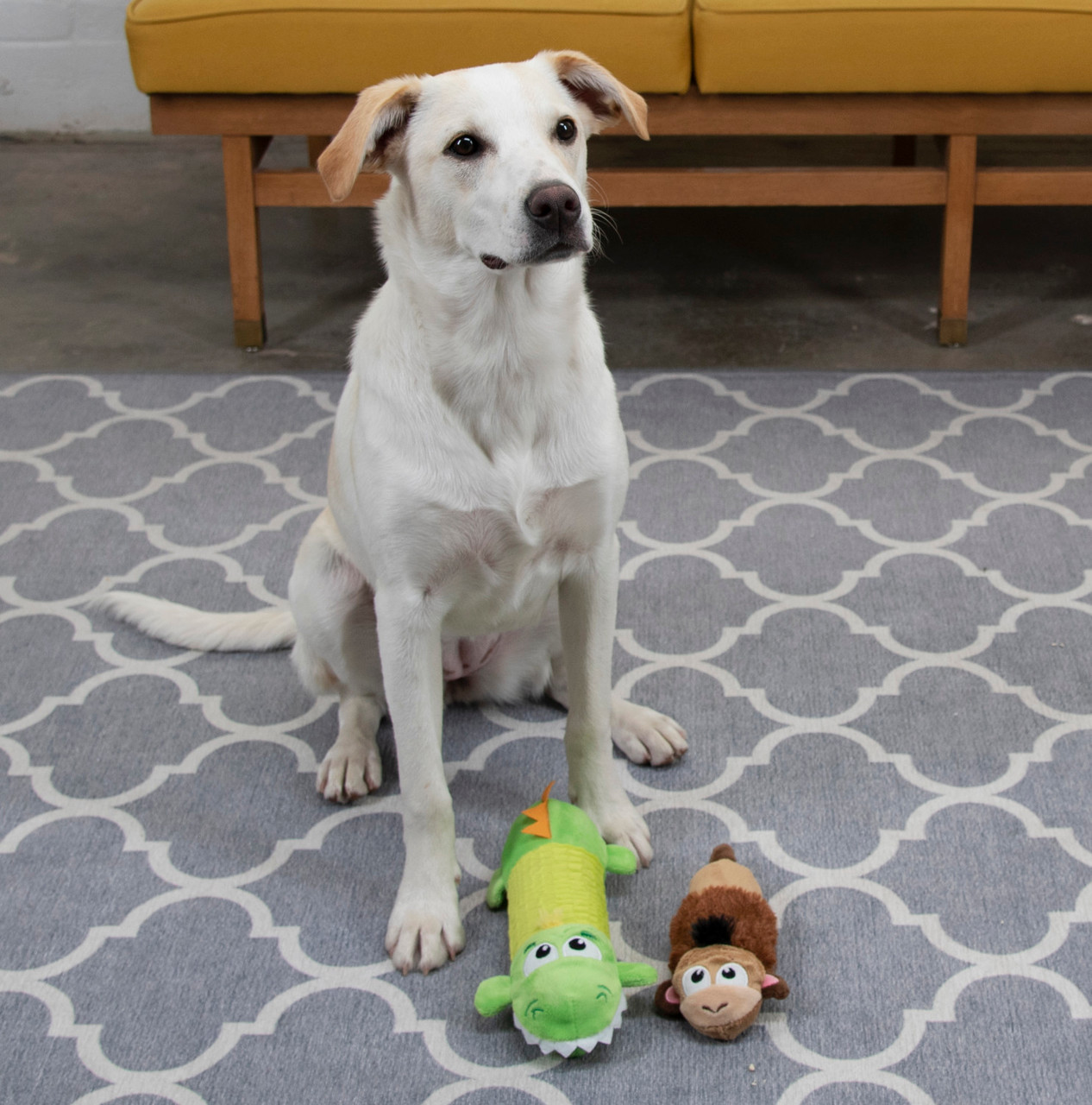 Stuffing-Free Big Squeak Plush Dog Toy - Image 13