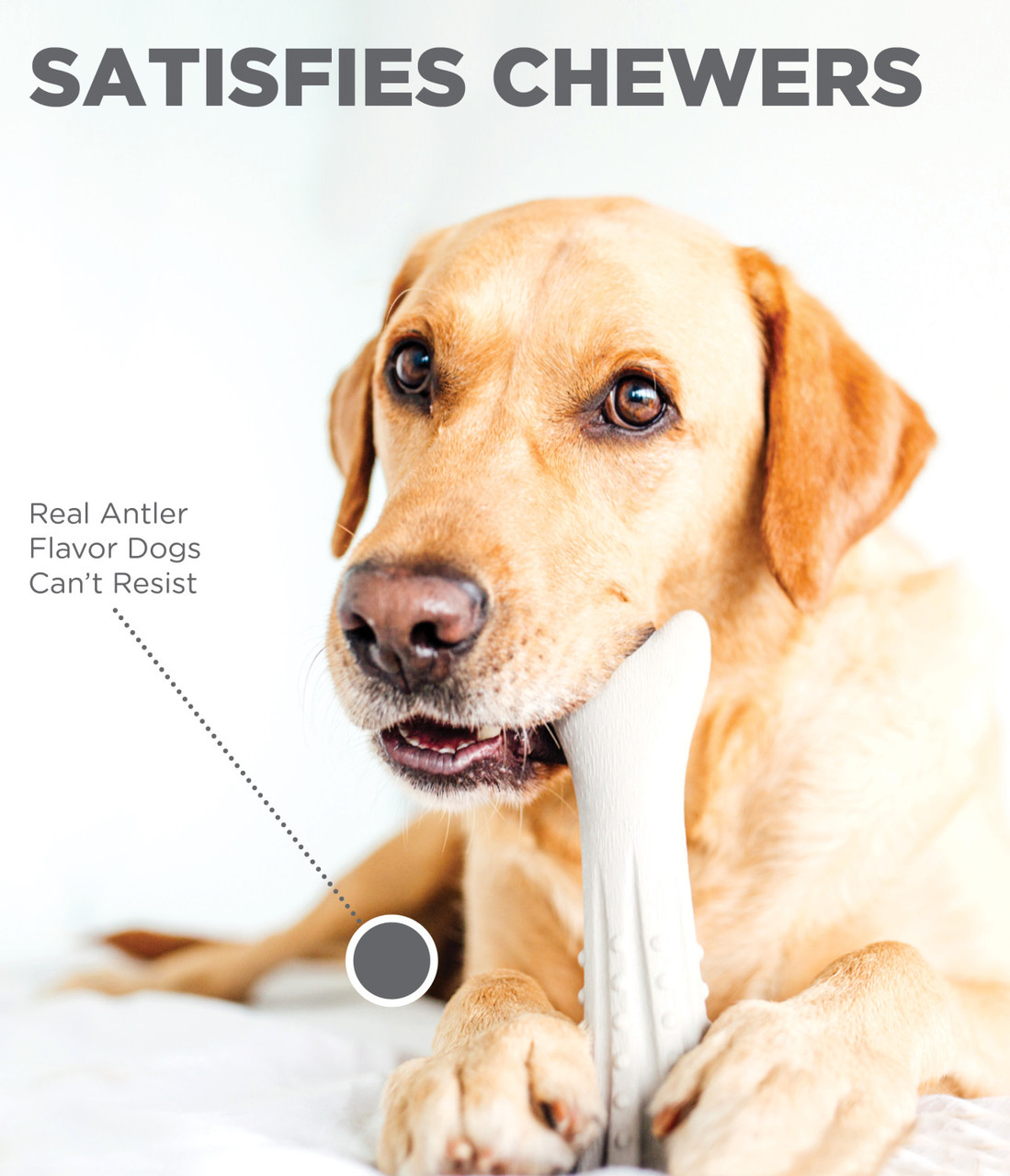 Deerhorn Antler Alternative Dog Chew Toy - Image 3