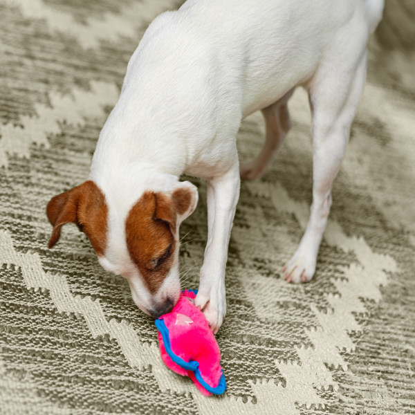 Durablez Mini Plush Dog Toy - Image 39
