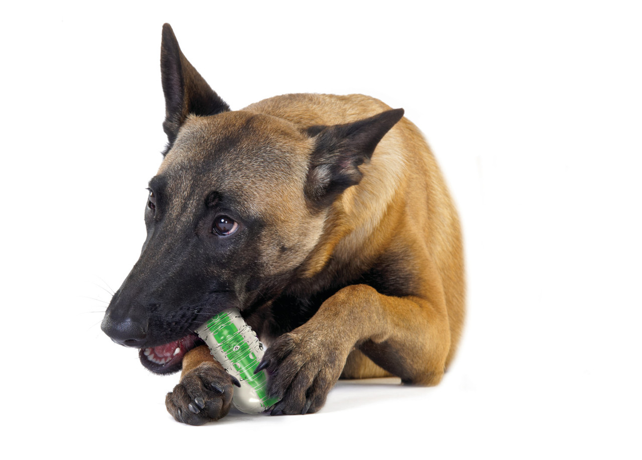 Crunchcore Bone Dog Chew Toy - Image 29