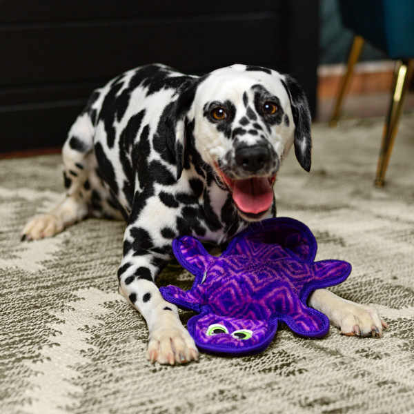 Durablez Gecko Plush Dog Toy, Medium - Image 5