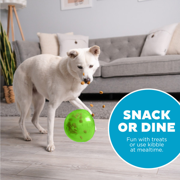 Orbee-Tuff Snoop Interactive Treat Dispensing Dog Toy, Green - Image 5