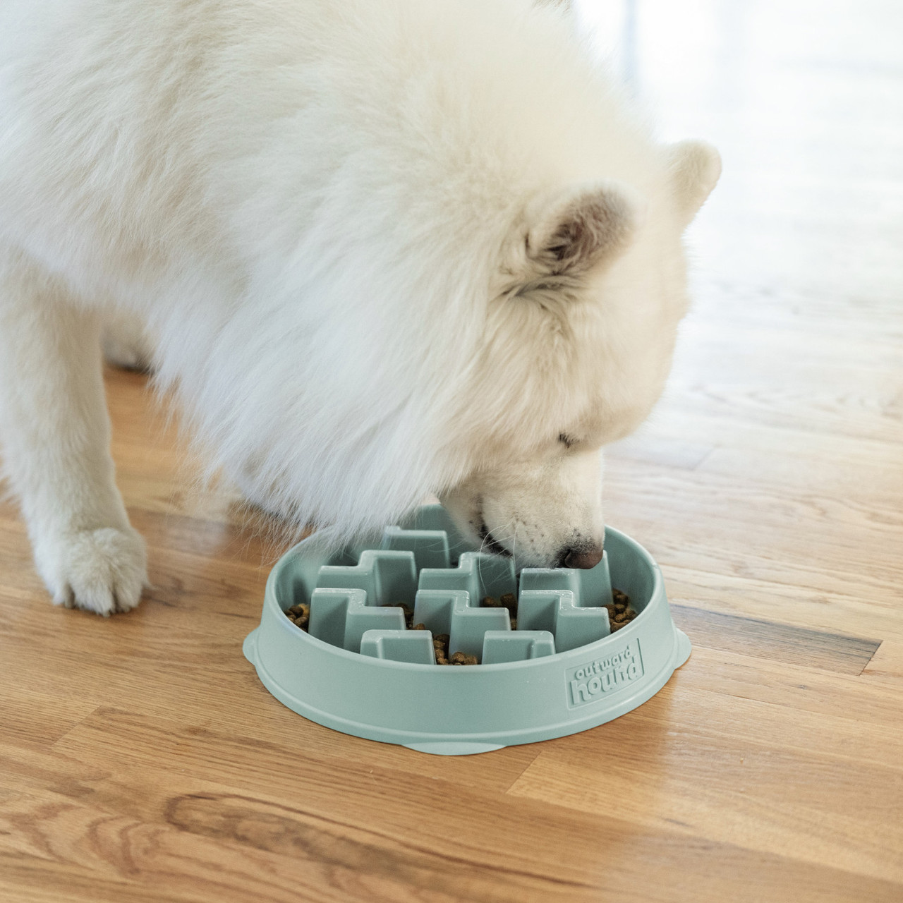 Fun Feeder Notch Sge LG - Image 5
