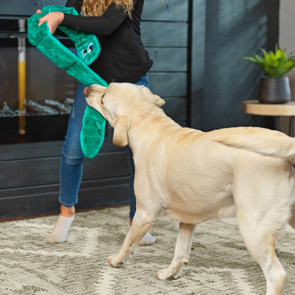 Durablez Snake Plush Dog Toy, X-Large - Image 10