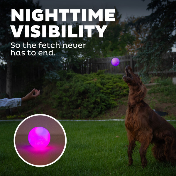 Orbee-Tuff Strobe Ball Light Up Dog Toy, Purple - Image 5