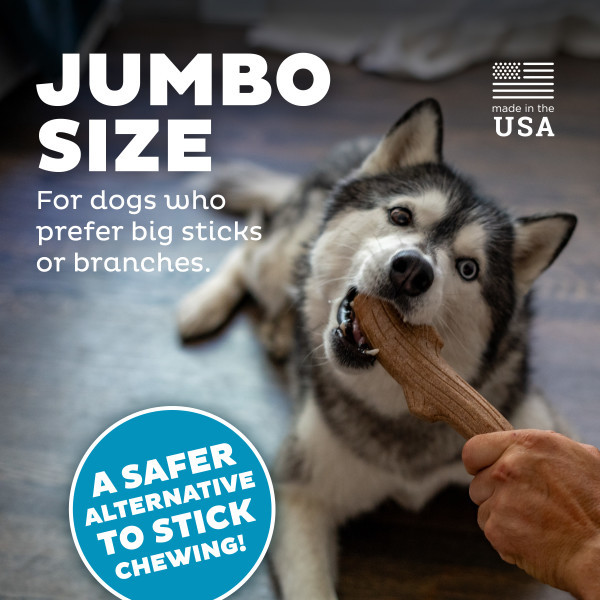 Super Dogwood Dog Chew Toy - Image 3