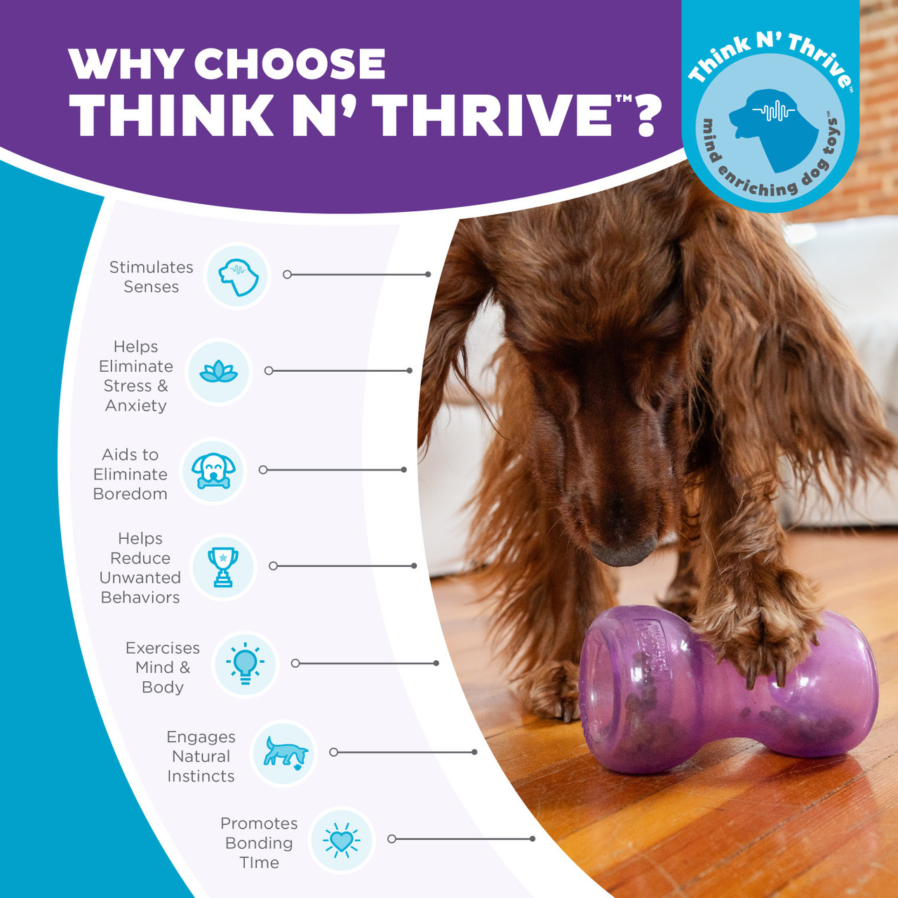 Double Snoop Interactive Treat Stuffer Dog Toy, Purple - Image 6