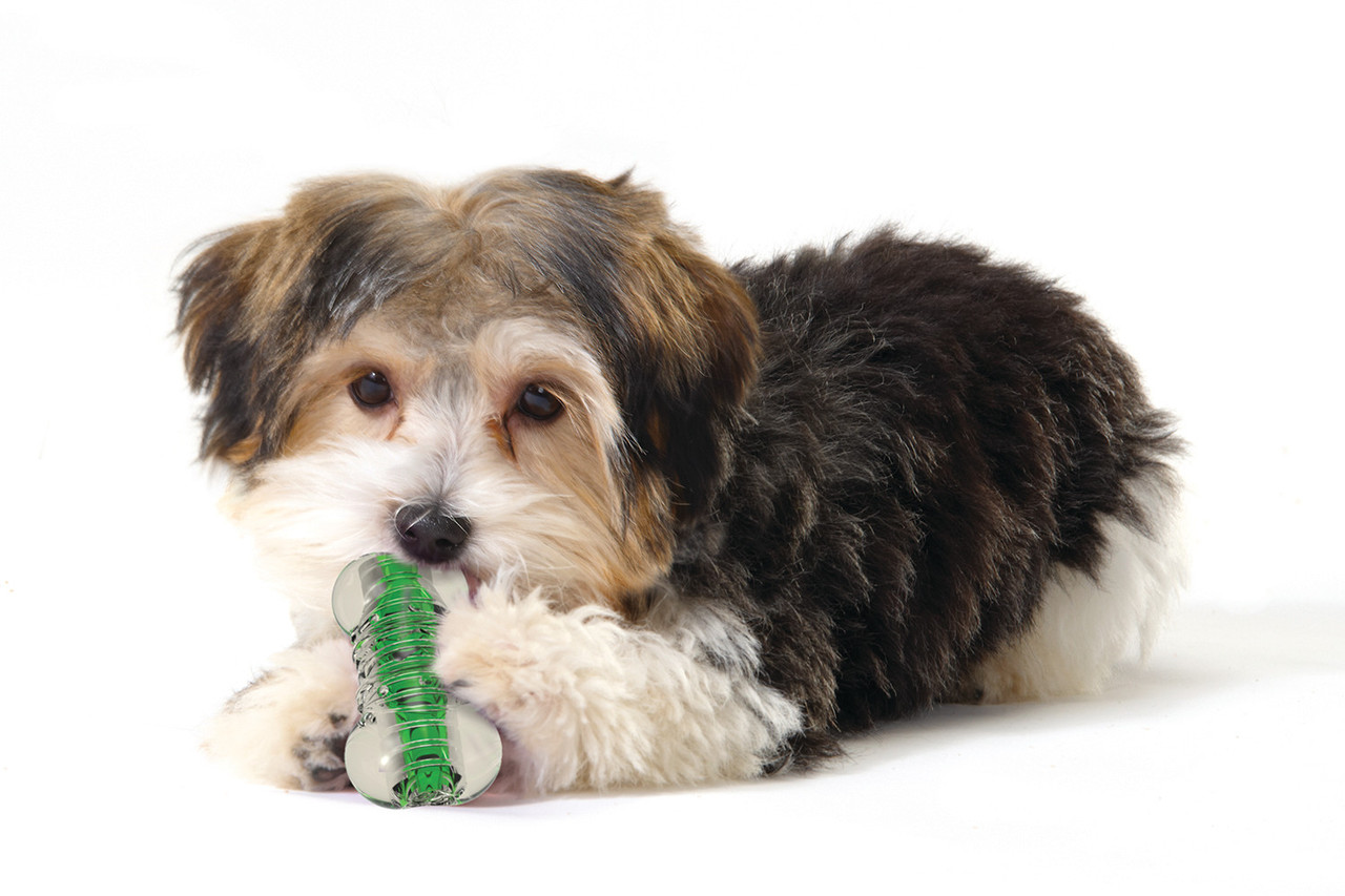 Crunchcore Bone Dog Chew Toy - Image 5