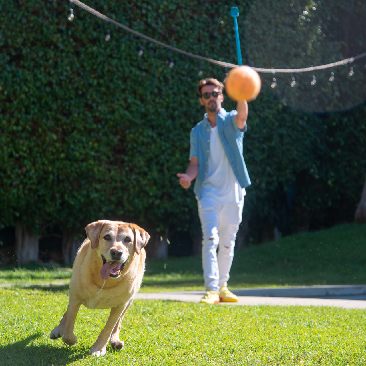 Launch A Ball Squeak Dog Ball Launcher, Turquoise - Image 5