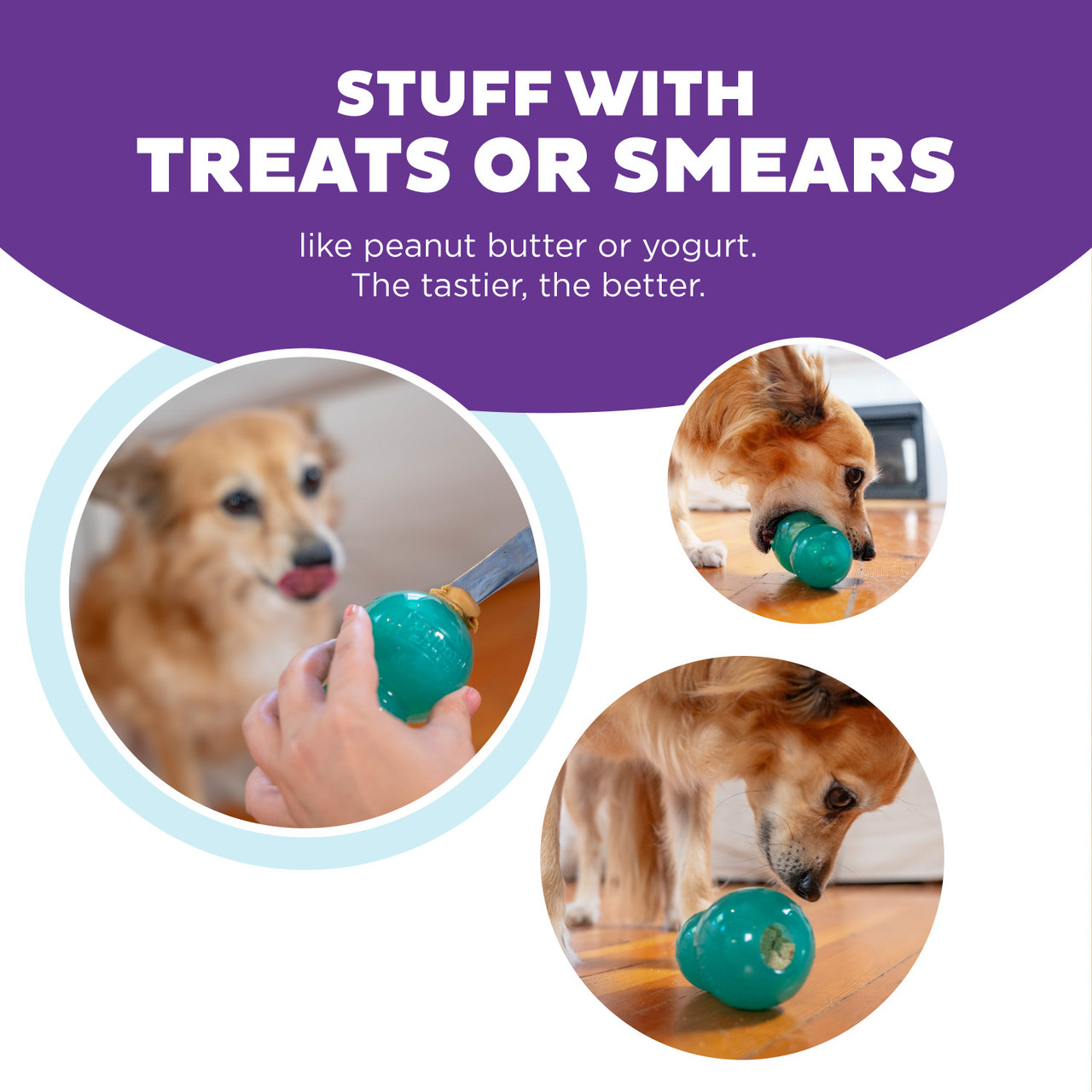 Double-Tuff Interactive Treat Stuffer Durable Dog Chew Toy, Blue, Medium - Image 4