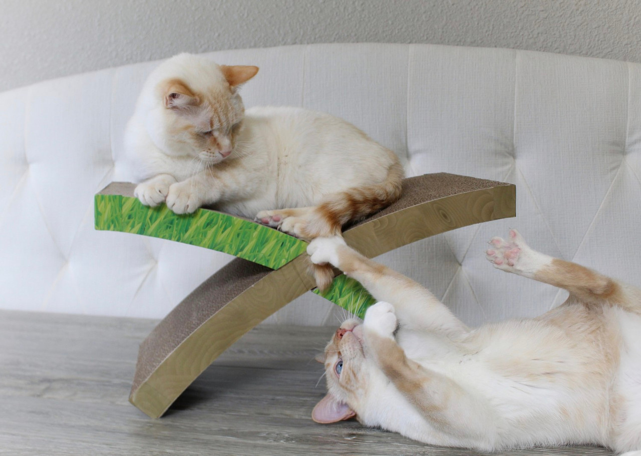 Easy Life Hammock Cat Scratcher, Multi - Image 6
