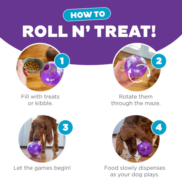 Mazee Interactive Puzzle Dog Toy, Purple - Image 4