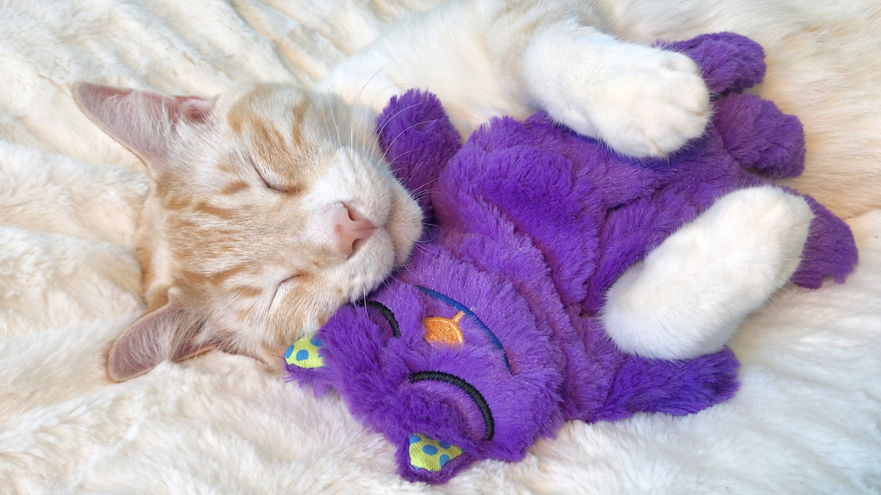 Purr Pillow Kitty Plush Cat Toy, Multi - Image 7
