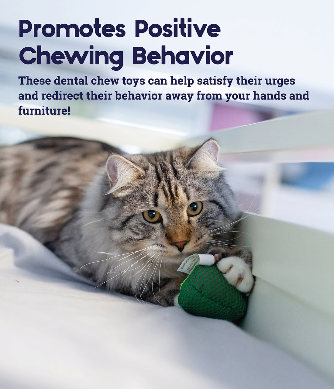 Lil' Avocato Dental Health Cat Chew Toy, Green - Image 3