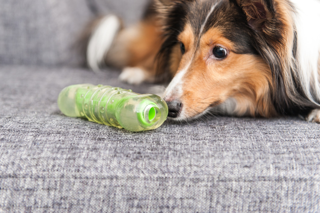 Crunchcore Bone Dog Chew Toy - Image 13