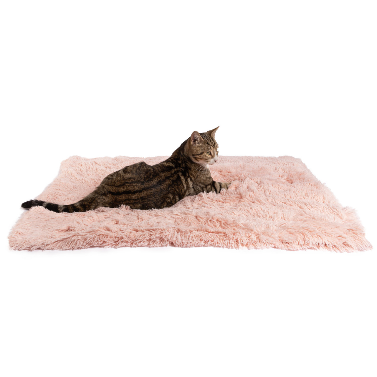 Shag Pet Throw Blanket, 30x40 - Image 7