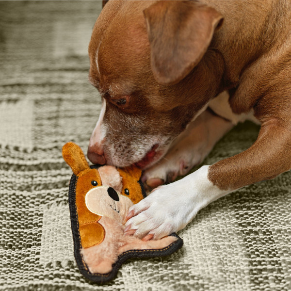 Durablez Mini Plush Dog Toy - Image 29
